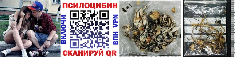 Галлюциногенные грибы Psilocybe Мелеуз