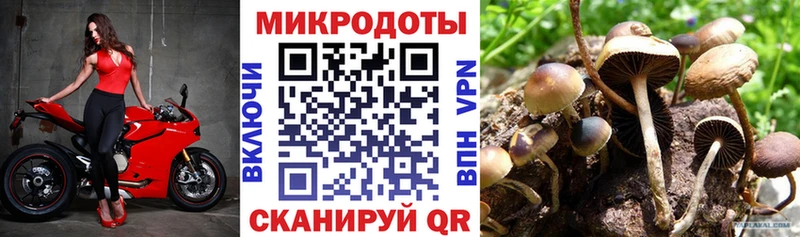 Псилоцибиновые грибы MAGIC MUSHROOMS  OMG как войти  Мелеуз 