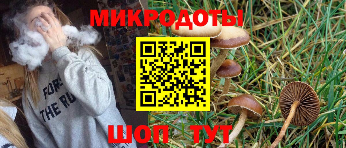 Галлюциногенные грибы Psilocybine cubensis Мелеуз