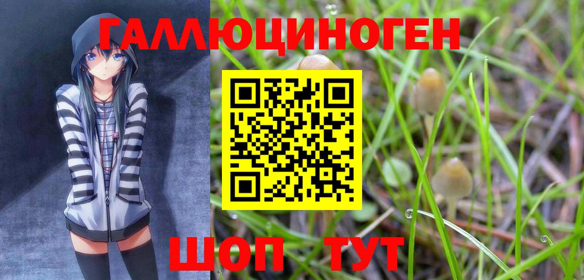 Галлюциногенные грибы Magic Shrooms  Мелеуз 